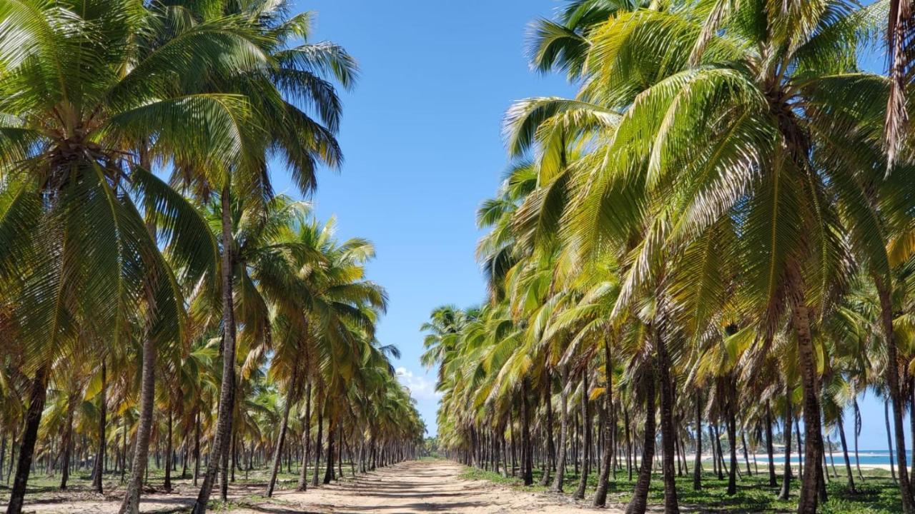 Solar Teixeira Residencial Apartman Pôrto das Galinhas Kültér fotó
